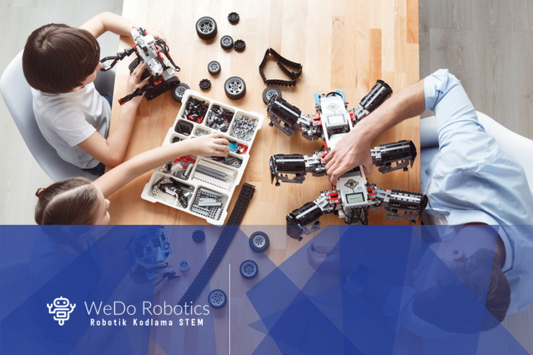 Little cook. Cooking pastries